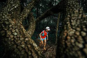 BIB: 
                            <button type="button" onclick="openModal(25675318)" class="btn btn-primary btn-sm float-right btn-popup" data-toggle="modal" data-target=".modal-high-quality">
                        <i class="fas fa-shopping-cart"></i> Add to Cart
                    </button>
                                            <button type="button" onclick="isThisMe(25675318, true)" class="btn btn-success btn-sm float-right btn-popup btn-isme hidden" data-toggle="tooltip" data-placement="bottom" title="นี่คือรูปของคุณใช่ไหม คลิกที่นี่เพื่อเอาเข้าอัลบั้ม">
                        <i class="fas fa-plus"></i> Add to album
                    </button>
                    <button type="button" onclick="isThisMe(25675318, false)" class="btn btn-warning btn-sm float-right btn-popup btn-isnotme hidden">
                        <i class="fas fa-ban"></i> Remove from album
                    </button>